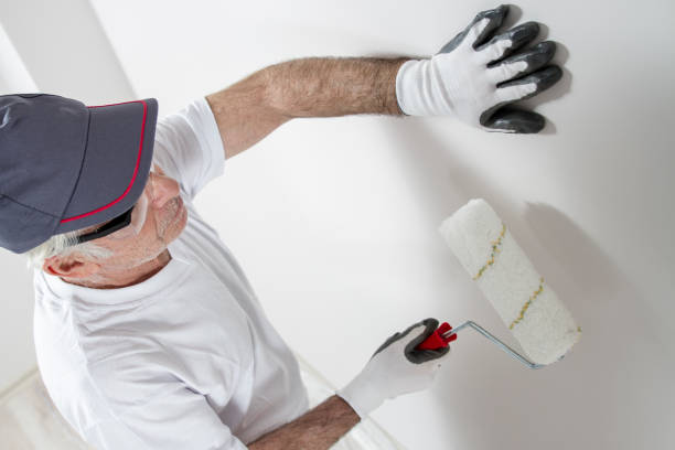 Best Commercial Mold Inspection  in Mackinac Island, MI