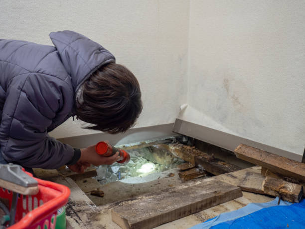 Best Asbestos and Lead Testing During Mold Inspection  in Mackinac Island, MI