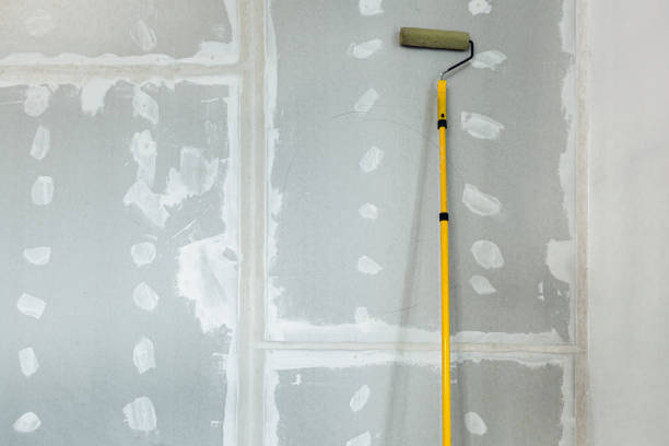 Best Mold Remediation for Healthcare Facilities  in Mackinac Island, MI