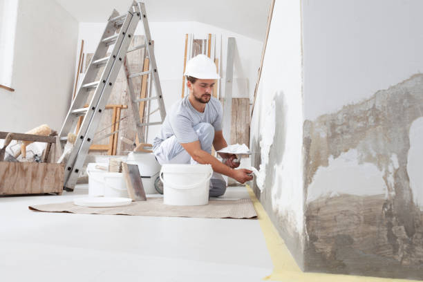 Reliable Mackinac Island, MI Mold Removal Solutions