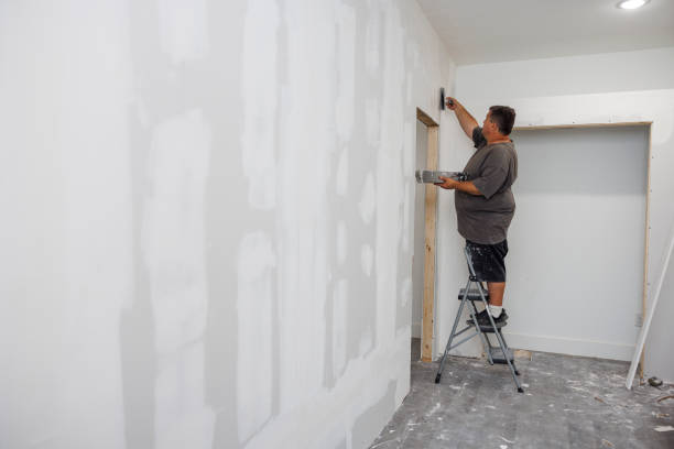 Best Mold Remediation for Healthcare Facilities  in Mackinac Island, MI